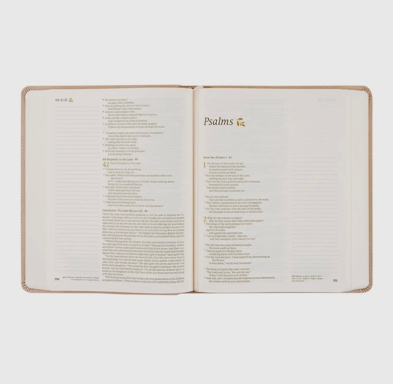 NLT Notetaking Bible : Shiloh Theme