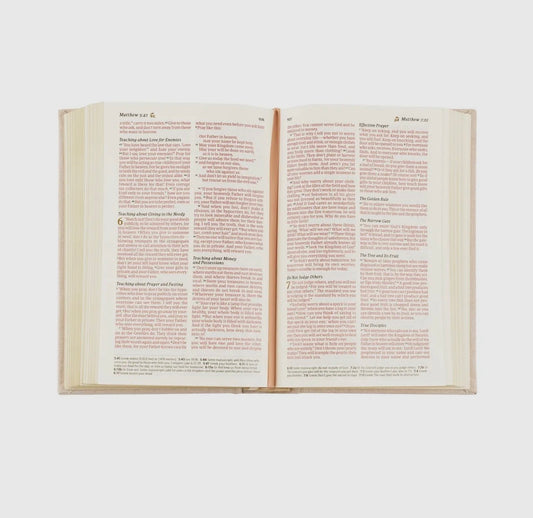 NLT Compact Bible: Casablanca Theme