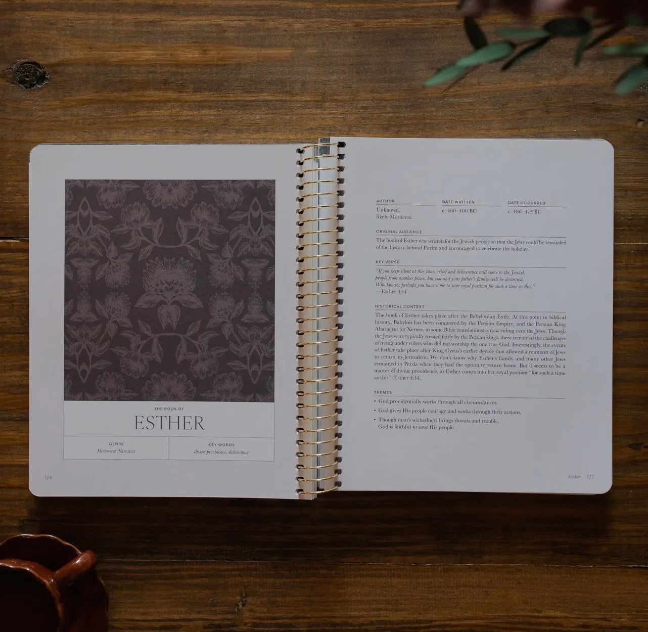 A Year in the Bible | 365 Days of Discovering the Beauty of Jesus from Genesis To Revelation, v2