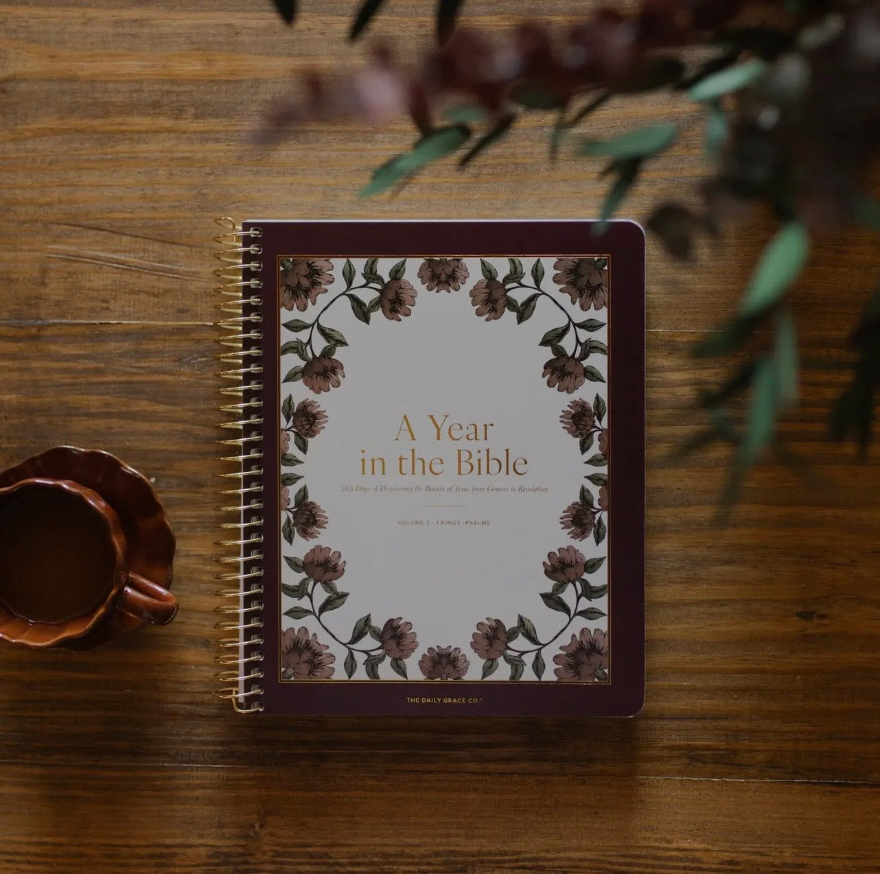 A Year in the Bible | 365 Days of Discovering the Beauty of Jesus from Genesis To Revelation, v2