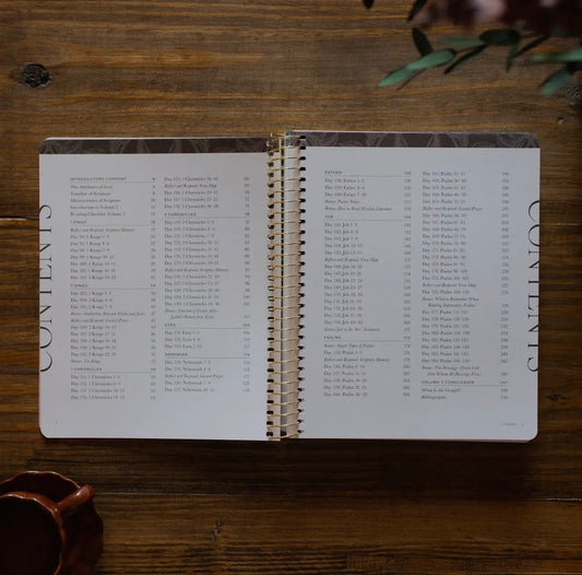 A Year in the Bible | 365 Days of Discovering the Beauty of Jesus from Genesis To Revelation, v2